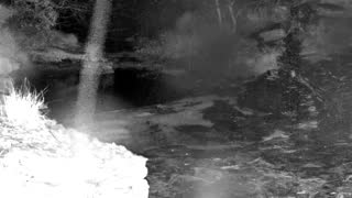 Still 1 from this detection