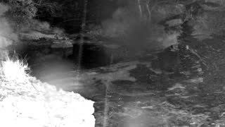 Still 1 from this detection