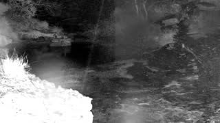 Still 2 from this detection