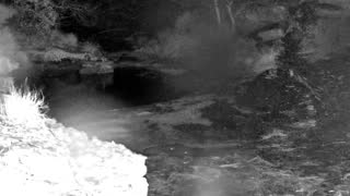 Still 2 from this detection