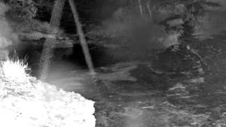 Still 3 from this detection