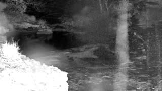 Still 2 from this detection