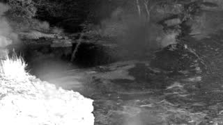 Still 1 from this detection