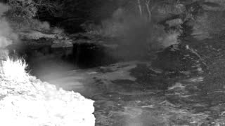 Still 2 from this detection