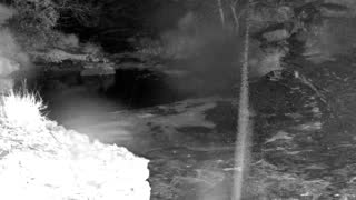 Still 3 from this detection