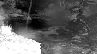 Still 1 from this detection