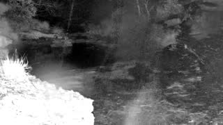 Still 2 from this detection