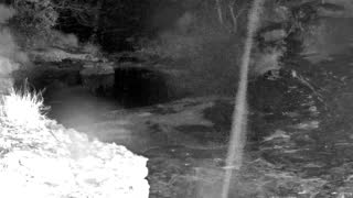 Still 1 from this detection