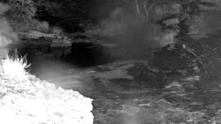 Still 3 from this detection
