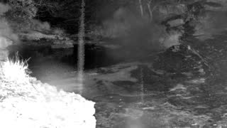 Still 1 from this detection