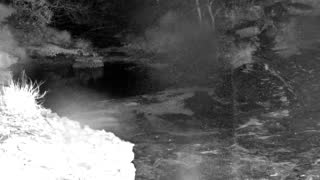 Still 2 from this detection
