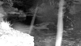 Still 1 from this detection