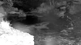 Still 2 from this detection