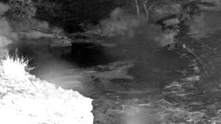 Still 1 from this detection