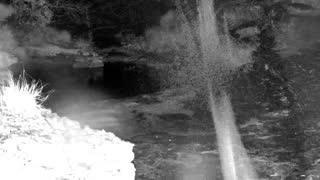 Still 1 from this detection