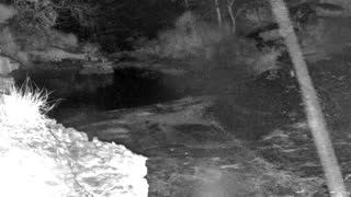 Still 3 from this detection