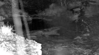 Still 1 from this detection