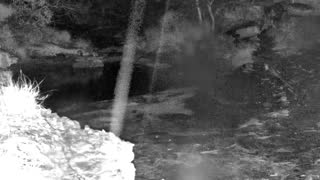 Still 3 from this detection