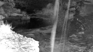 Still 1 from this detection