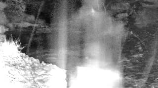 Still 2 from this detection