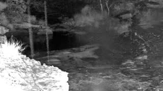 Still 1 from this detection
