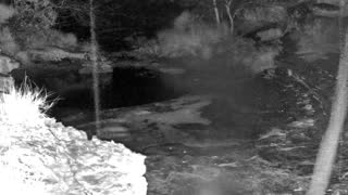 Still 3 from this detection