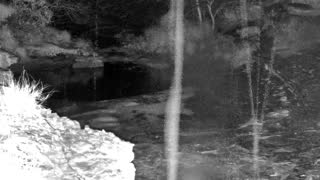Still 1 from this detection
