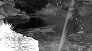 Still 3 from this detection