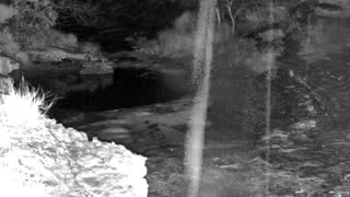 Still 2 from this detection