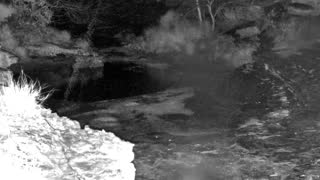 Still 1 from this detection