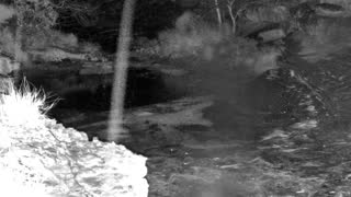 Still 3 from this detection