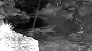 Still 1 from this detection