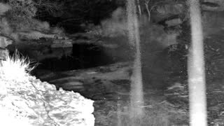 Still 2 from this detection