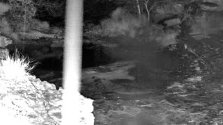 Still 3 from this detection