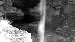 Still 1 from this detection