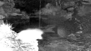 Still 2 from this detection