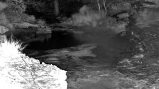 Still 1 from this detection