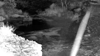 Still 2 from this detection