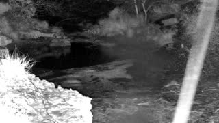 Still 1 from this detection