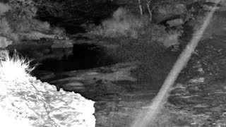 Still 2 from this detection
