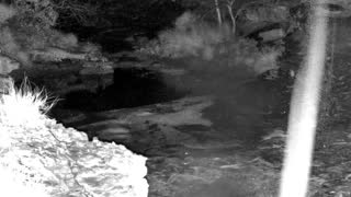 Still 2 from this detection