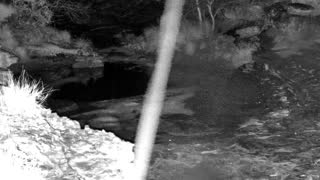 Still 1 from this detection