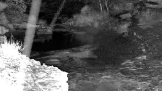 Still 3 from this detection