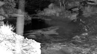 Still 1 from this detection