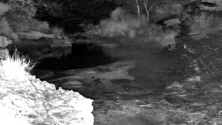 Still 2 from this detection
