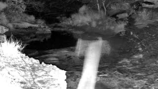 Still 1 from this detection