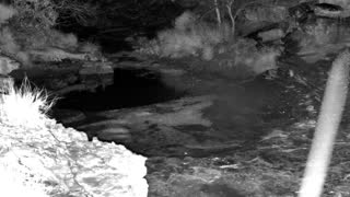 Still 3 from this detection
