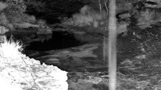Still 1 from this detection