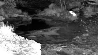 Still 1 from this detection