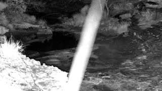 Still 2 from this detection